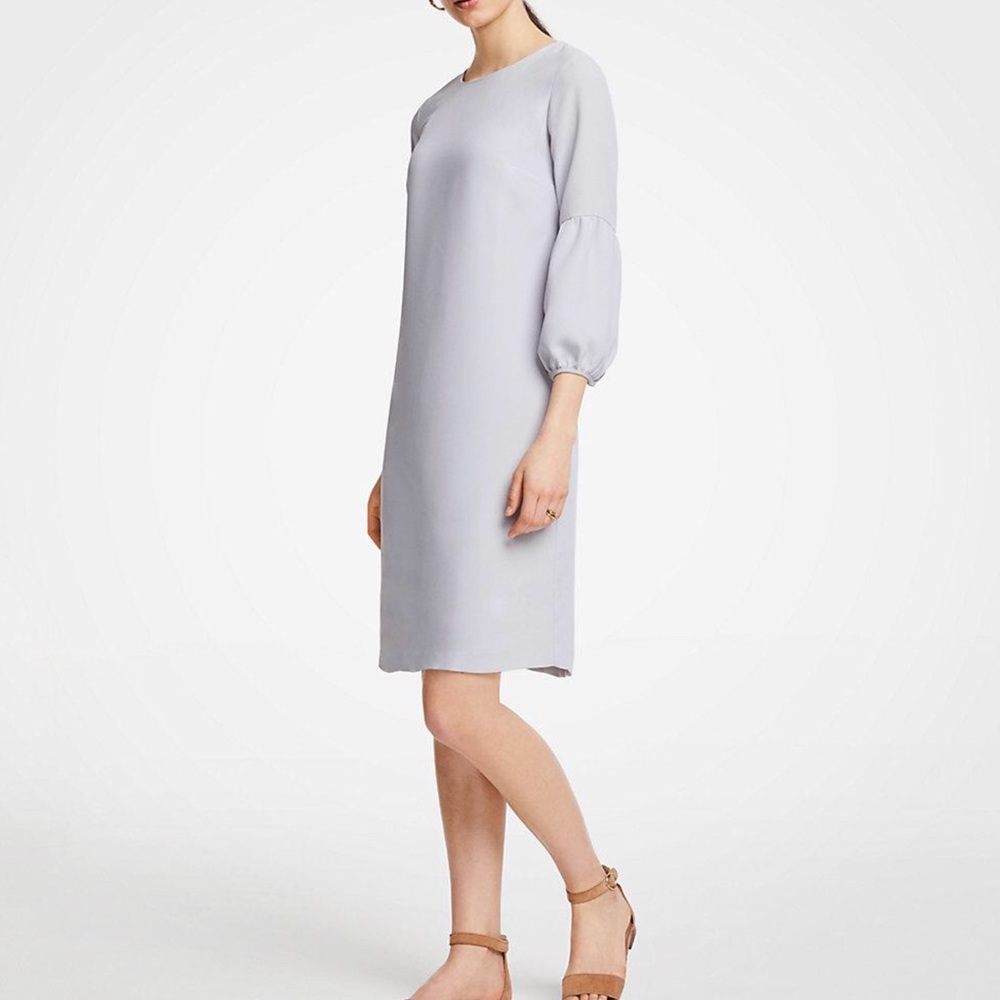 Ann Taylor Lantern Sleeve Shift Dress